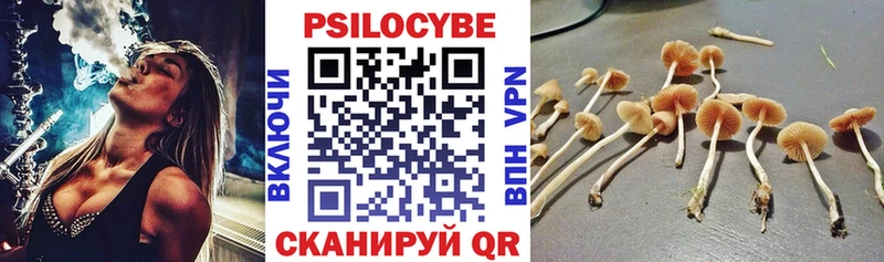 цены наркотик  kraken ONION  Псилоцибиновые грибы Psilocybe  Севастополь 
